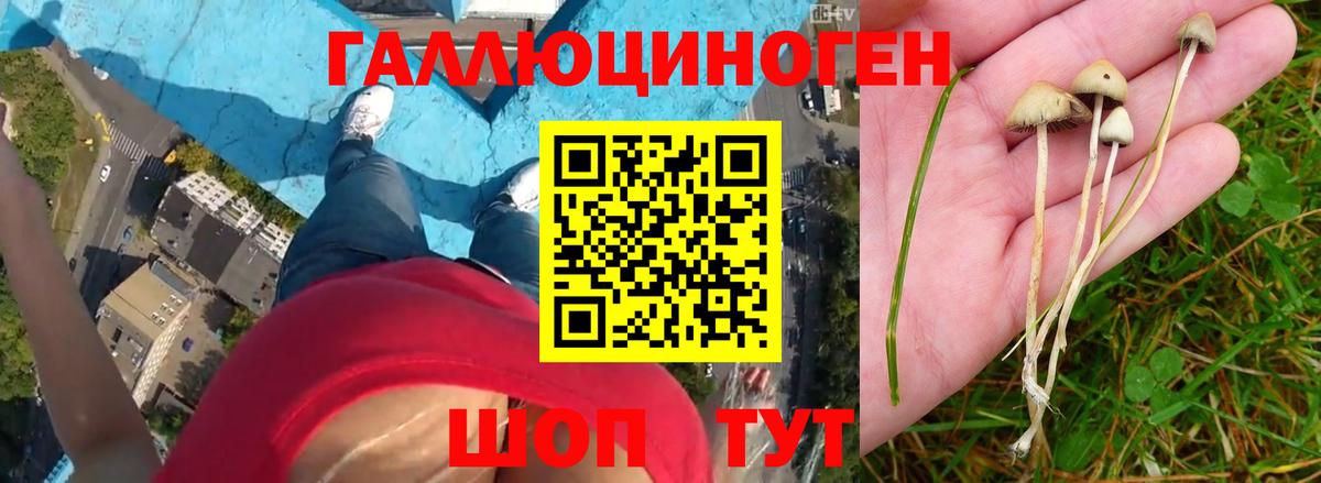 Псилоцибиновые грибы мухоморы Назарово